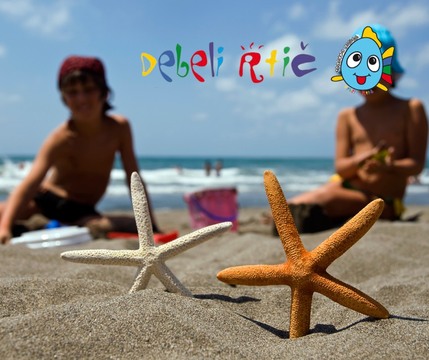 Debeli rtič