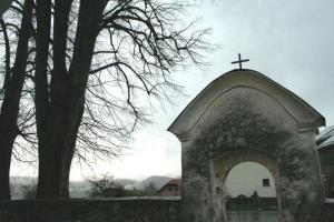 jelsevec2