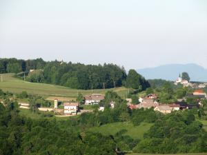 trebelno4