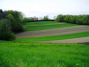 TrebelnoLovskiDom28.4.05