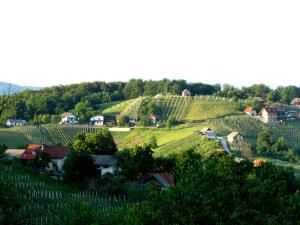 vel.strmica6