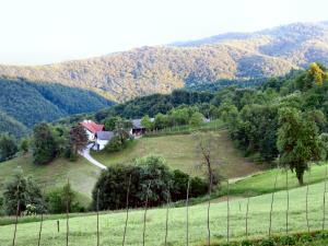 vel.strmica8