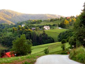 vel.strmica11