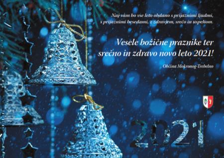 mojca_voscilo_2021_004