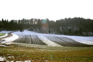 Češnjice pri Trebelnem