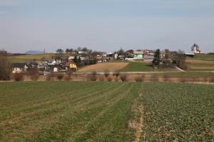 Martinja vas pri Mokronogu