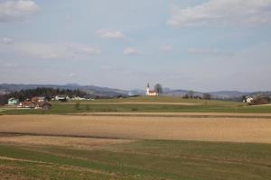 Martinja vas pri Mokronogu