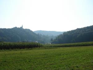 Pugled pri Mokronogu