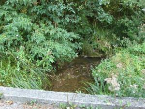 Pugled pri Mokronogu