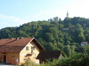 Pugled pri Mokronogu