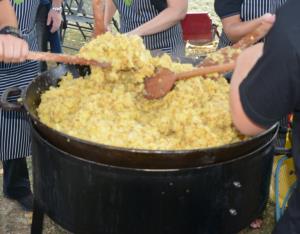 15. Svetovni festival praženega krompirja Mokronog