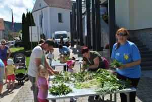 26. KRESNA NOČ v Mokronogu