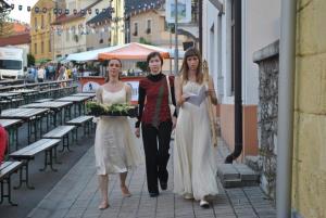 26. KRESNA NOČ v Mokronogu