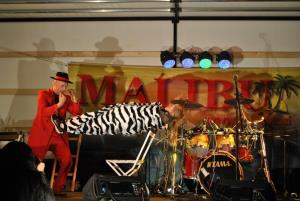 26. KRESNA NOČ v Mokronogu