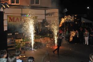 26. KRESNA NOČ v Mokronogu