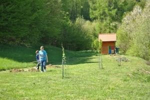 V Mokronogu smo na Svetovni dan Zemlje sadili drevje