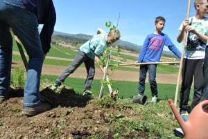 V Mokronogu smo na Svetovni dan Zemlje sadili drevje