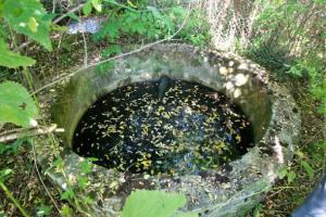 V vodi bajerja ni rakotvornih snovi