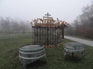 Potomko stare trte bodo potrgali