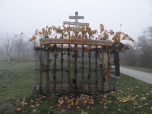 Potomko stare trte bodo potrgali