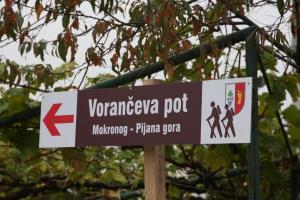 15-ič po Vorančevi poti z Žalostne do Pijane gore