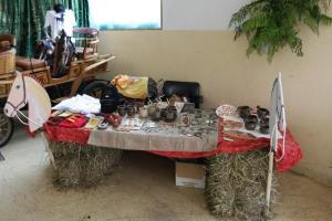 Magija kresne noči za vse