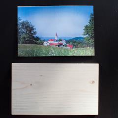 Delavnice na Trebelnem: Fotografija na les