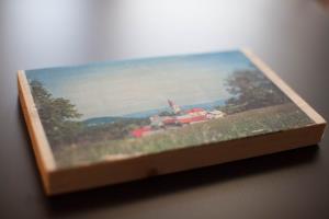 Delavnice na Trebelnem: Fotografija na les