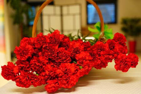 9.3.2024_FOLKLORNI_MAROL_JSKD_FOTO_ASL56