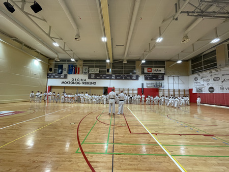 IMG_6390