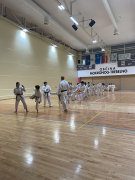IMG_6461