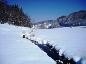 BitnjaVasRadulja24.2.05