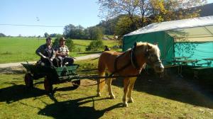 20171007_121528_resized