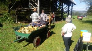 20171007_121547_resized