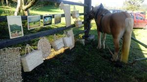 20171007_132435_resized