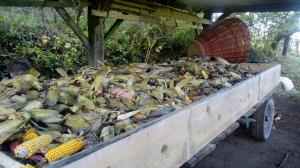 20171007_150437_resized